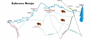 Zubrowa Ostoja